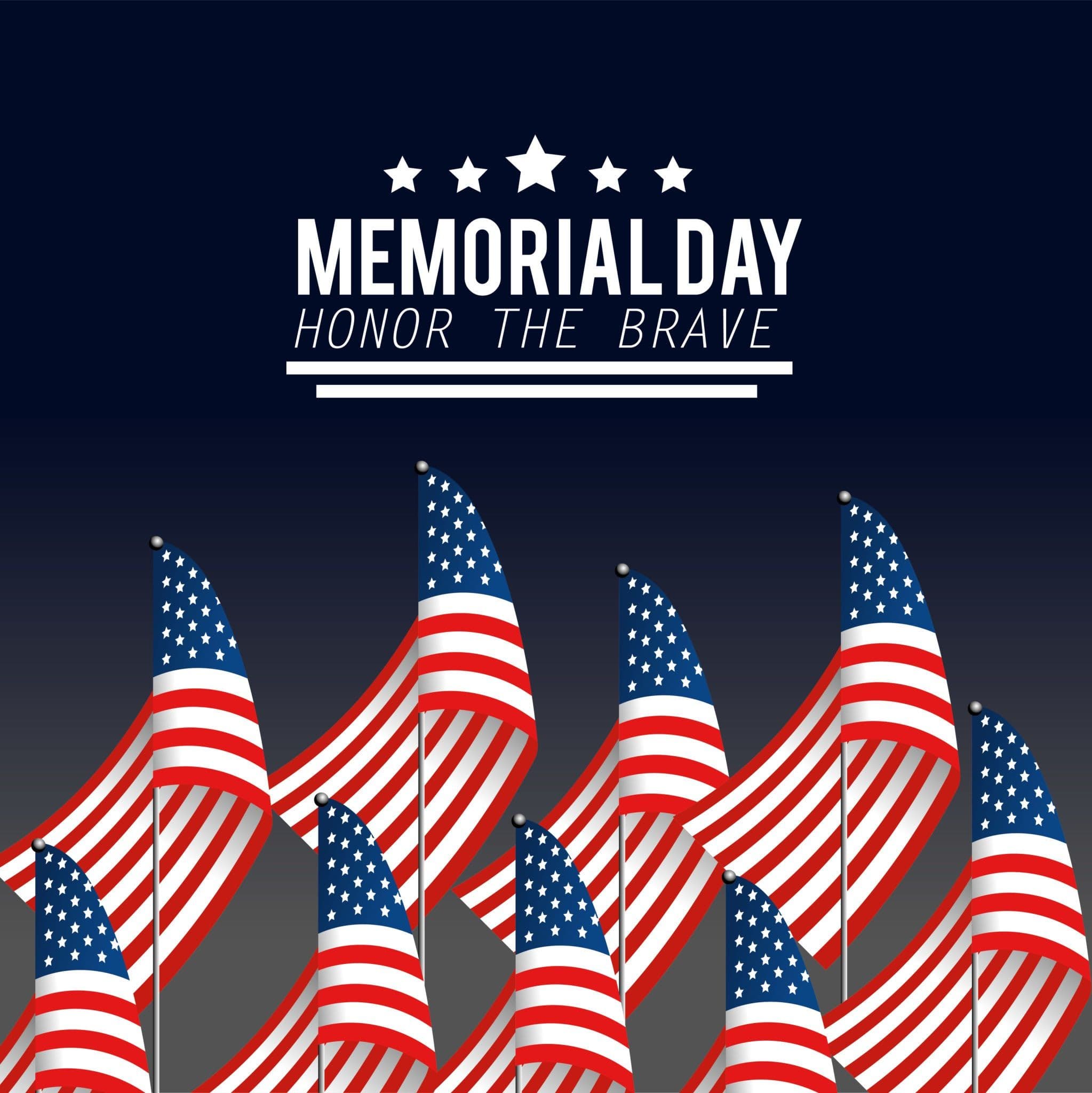 Project Honoring Our Heroes on Memorial Day image